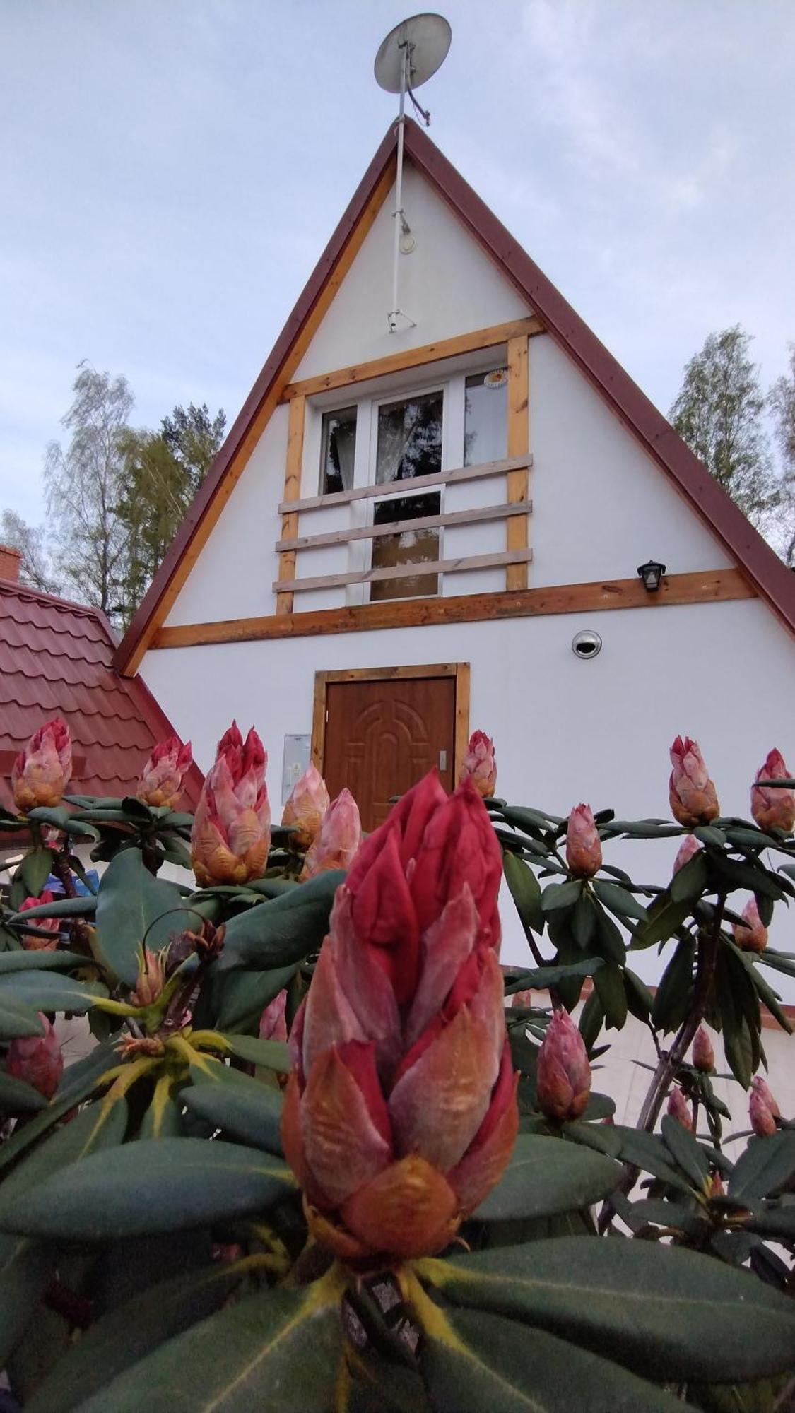 Dom Wakacyjny Za Zakretem Rowy  Exteriör bild