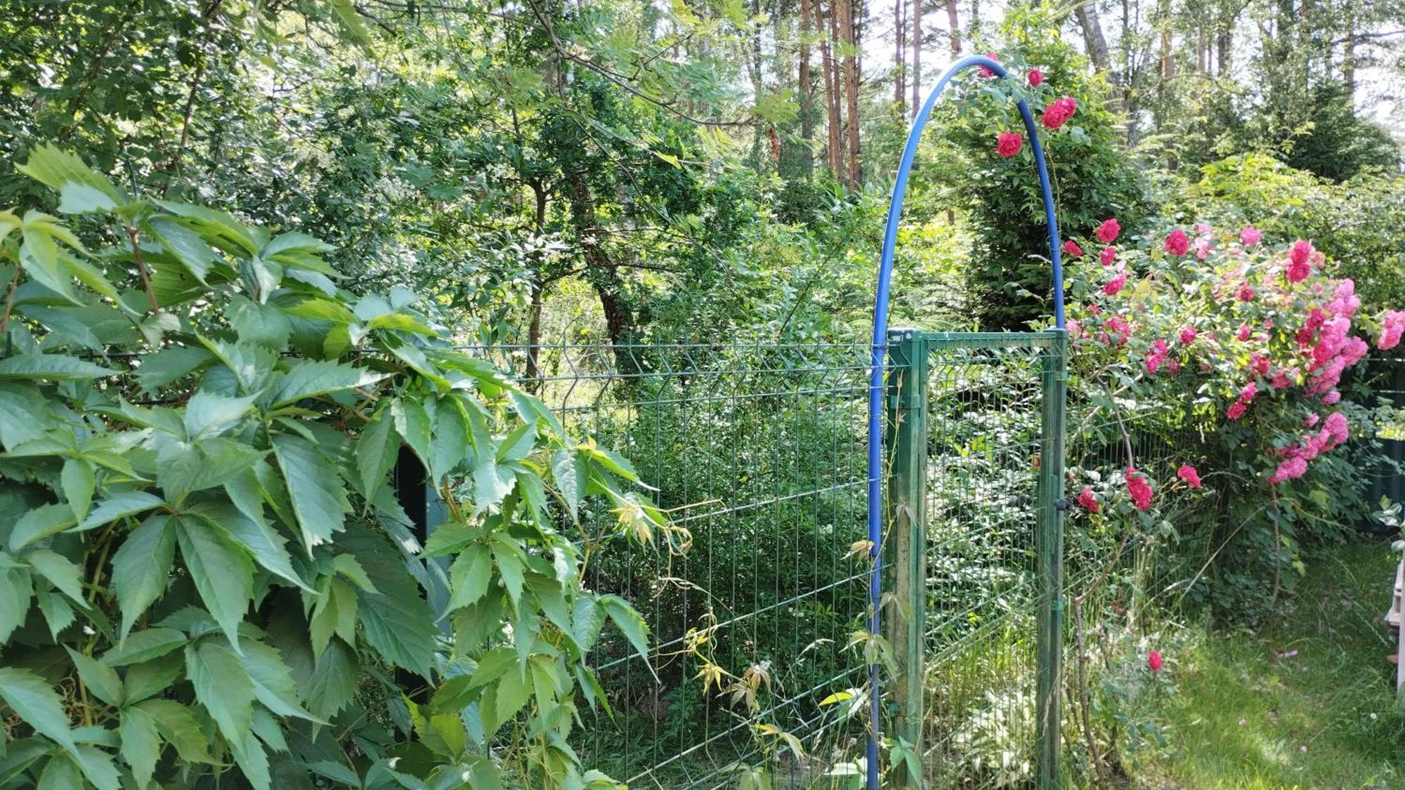 Dom Wakacyjny Za Zakretem Rowy  Exteriör bild
